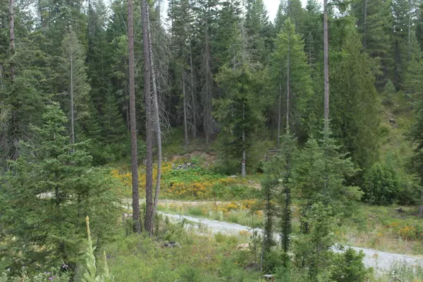 10xx Buck Creek Rd, Newport, WA 99156