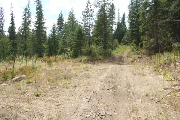 10xx Buck Creek Rd, Newport, WA 99156