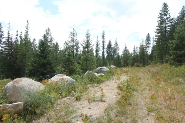 10xx Buck Creek Rd, Newport, WA 99156