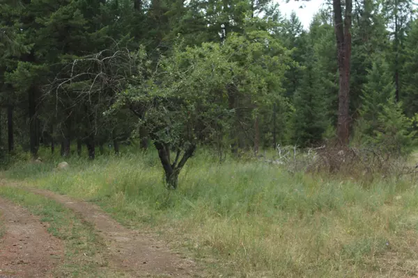 93 Buck Creek Rd, Newport, WA 99156