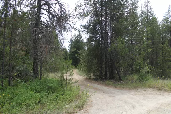 93 Buck Creek Rd, Newport, WA 99156