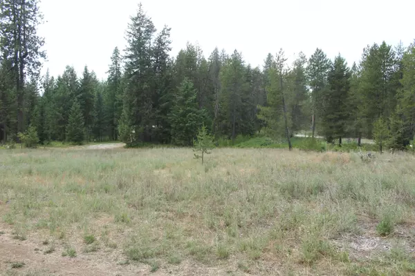 93 Buck Creek Rd, Newport, WA 99156