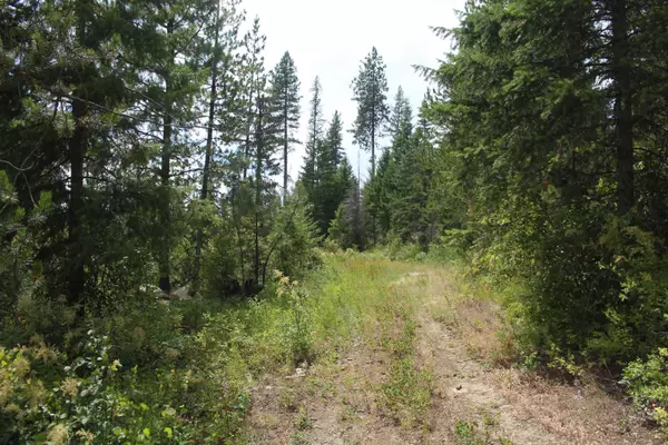 10xx Buck Creek Rd, Newport, WA 99156