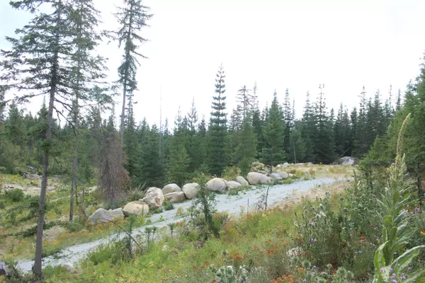 10xx Buck Creek Rd, Newport, WA 99156