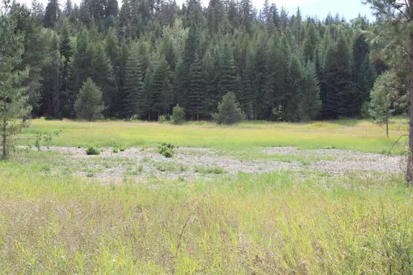 932 Turk Rd, Newport, WA 99156