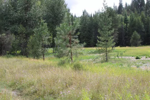 932 Turk Rd, Newport, WA 99156