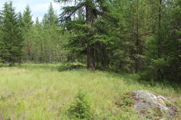 1xx Tennant Rd, Newport, WA 99156