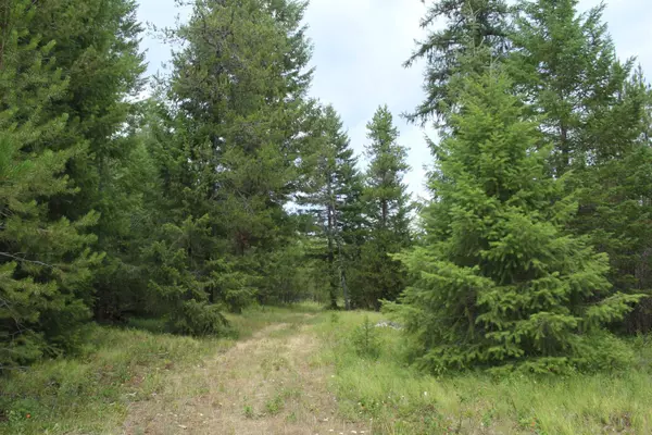 1xx Tennant Rd, Newport, WA 99156