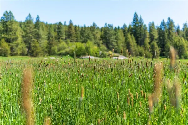 XXXX Hwy 211 #Lot 1, Newport, WA 99156