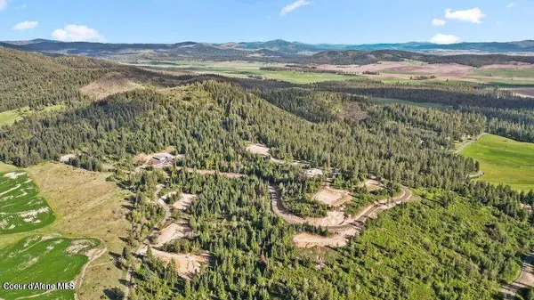 Lot 9 Lone Moose Dr, Plummer, ID 83851