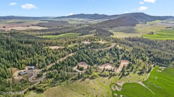 Lot 5 Lone Moose Dr, Plummer, ID 83851