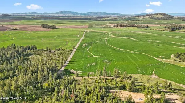 Lot 3 Lone Moose Dr, Plummer, ID 83851