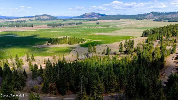 Lot 12 Lone Moose Dr, Plummer, ID 83851