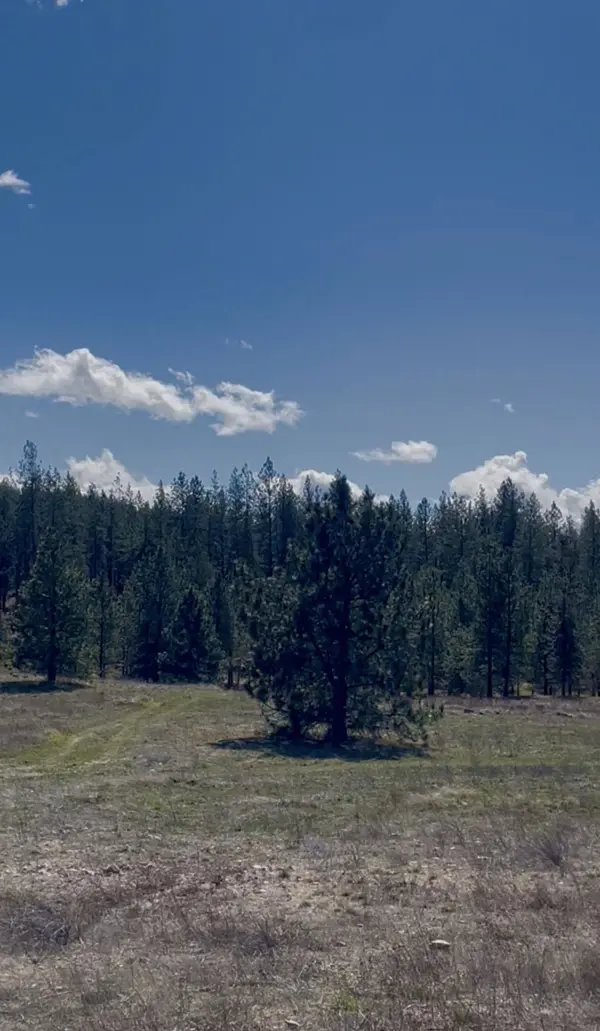XX W McKenzie Woolard Rd, Nine Mile Falls, WA 99006