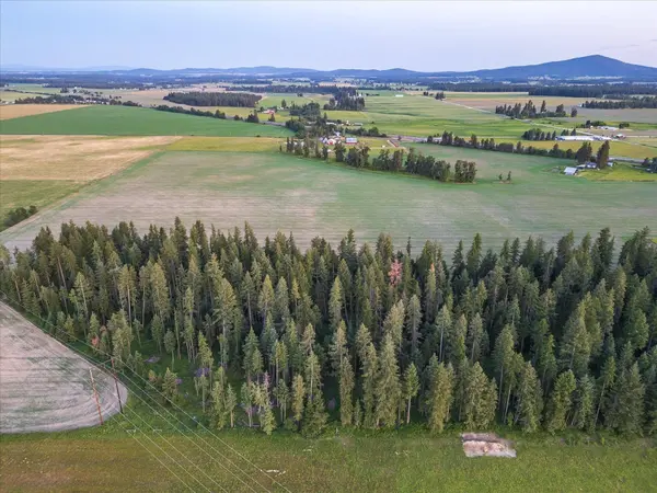 NKA Furze Rd #Lot 4
