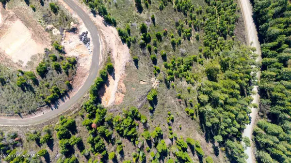 Lot 1 Lone Moose Dr, Plummer, ID 83851