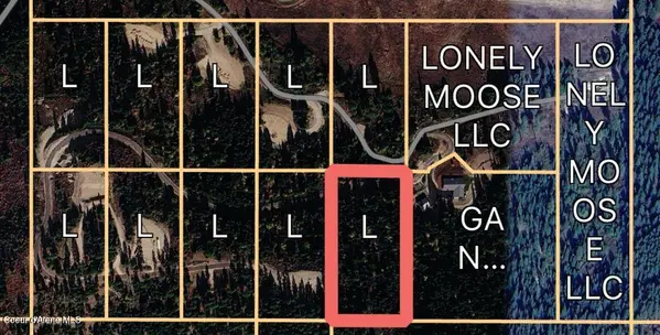 Lot 9 Lone Moose Dr, Plummer, ID 83851
