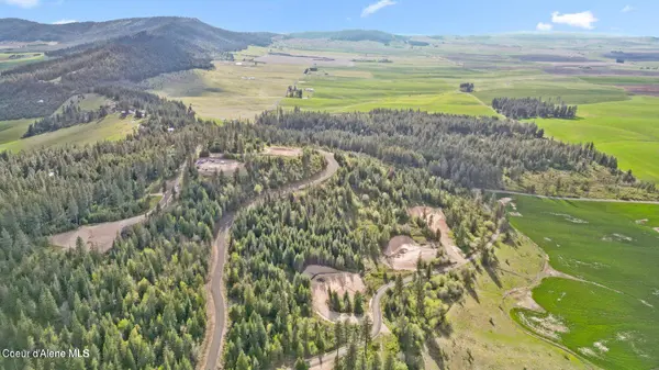 Lot 11 Lone Moose Dr, Plummer, ID 83851
