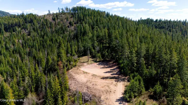 Lot 10 Lone Moose Dr