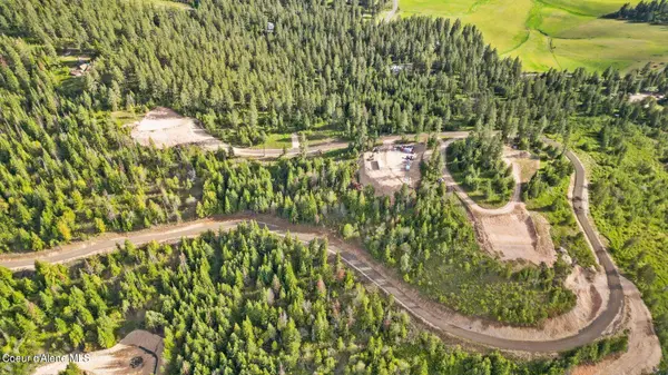 Lot 11 Lone Moose Dr, Plummer, ID 83851