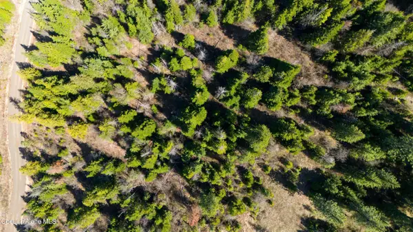 Lot 9 Lone Moose Dr, Plummer, ID 83851