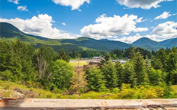 112 Alta Ln #Packwood, Other, WA 98361