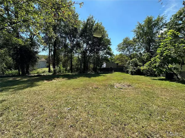 318 Chicago ST, St Louis, MO 63122