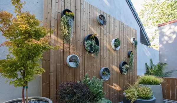 Indoor Garden vs. Outdoor Garden: Which Adds More Value?