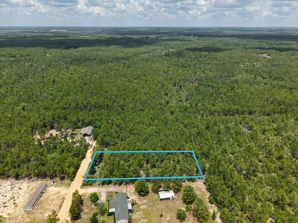 TBD Hamlet DR, Defuniak Springs, FL 32433