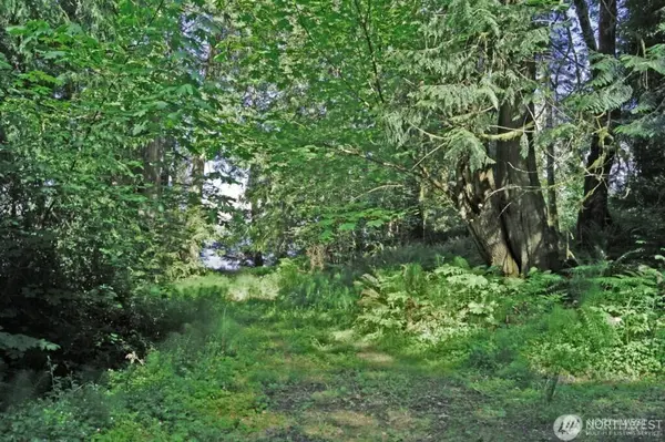 0 TBD E Harstine Heights LN, Shelton, WA 98584