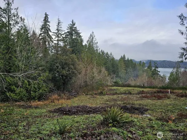 211 E Linda Vista CT, Union, WA 98592
