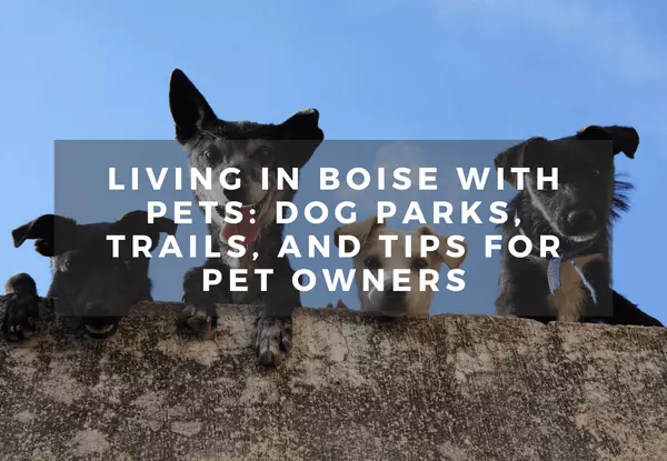 Living in Boise with Pets: Dog Parks, Trails, and Tips for Pet Owners
