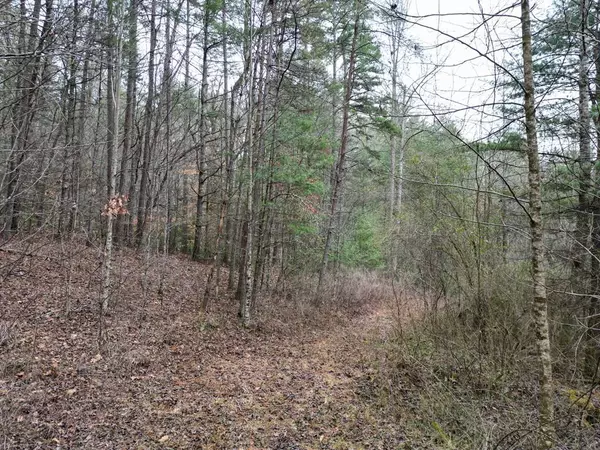 TBD Dillard Road, Murphy, NC 28906