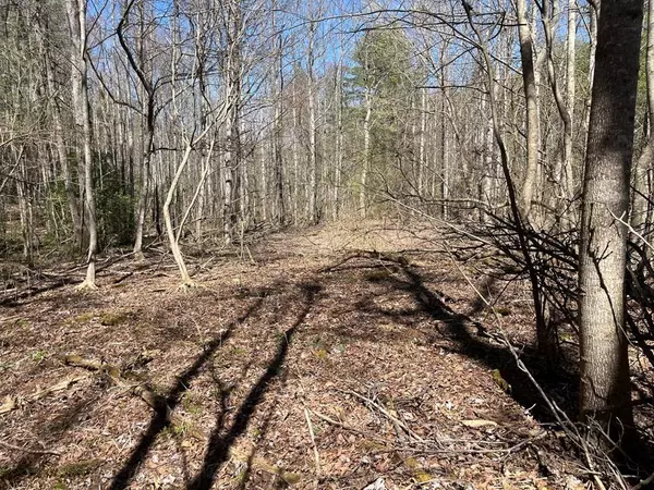 463 Hiwassee Dam Access Road, Murphy, NC 28906