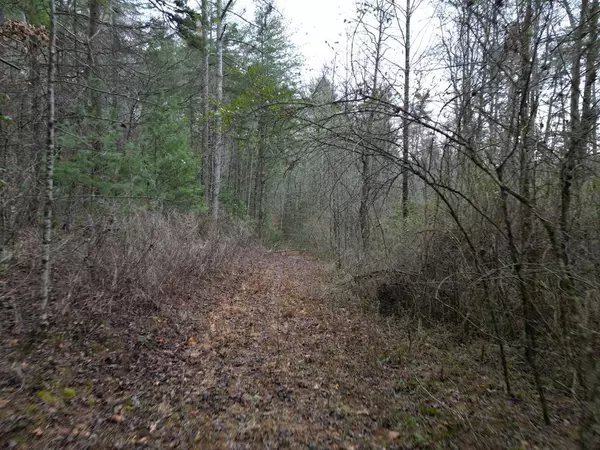 TBD Dillard Road, Murphy, NC 28906