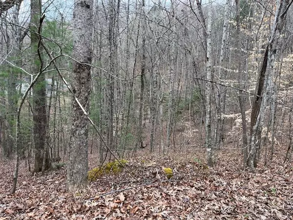 46 Robin Road, Murphy, NC 28906