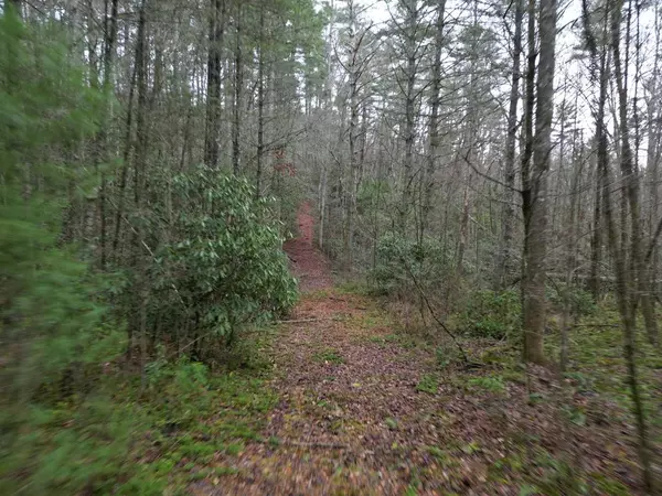 TBD Dillard Road, Murphy, NC 28906