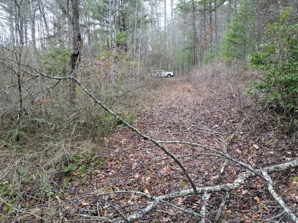 TBD Dillard Road, Murphy, NC 28906