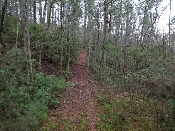 TBD Dillard Road, Murphy, NC 28906