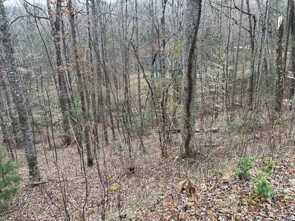 46 Robin Road, Murphy, NC 28906