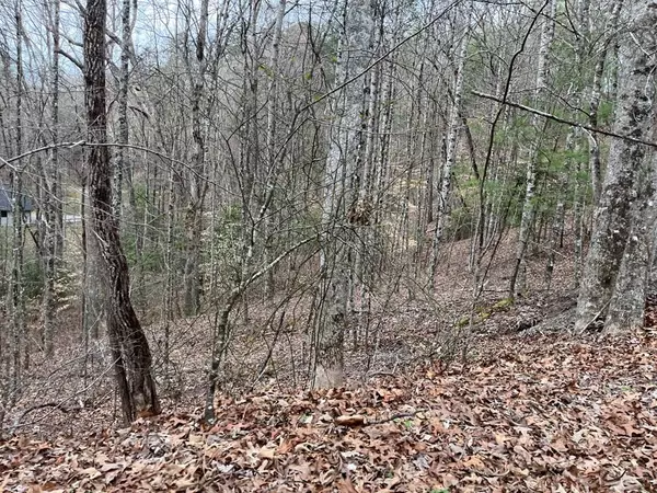 46 Robin Road, Murphy, NC 28906