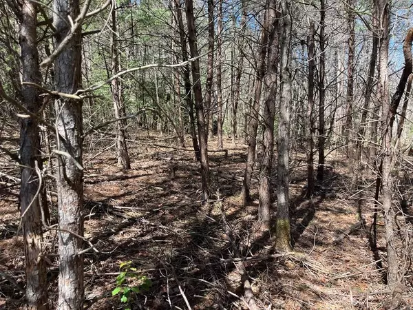 463 Hiwassee Dam Access Road, Murphy, NC 28906