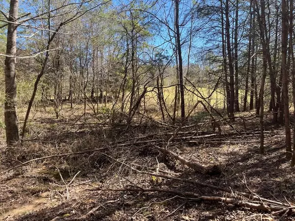 463 Hiwassee Dam Access Road, Murphy, NC 28906