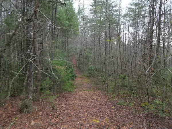 TBD Dillard Road, Murphy, NC 28906