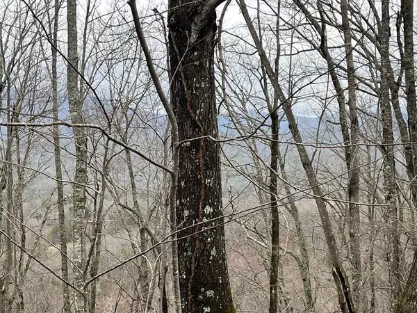 19 Lots Crockett Mountain, Hayesville, NC 28904