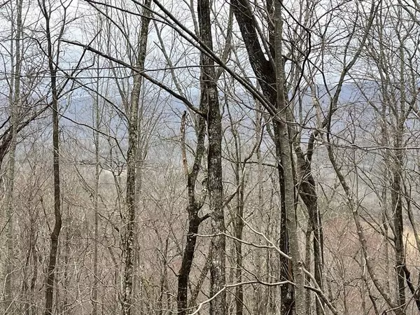 19 Lots Crockett Mountain, Hayesville, NC 28904