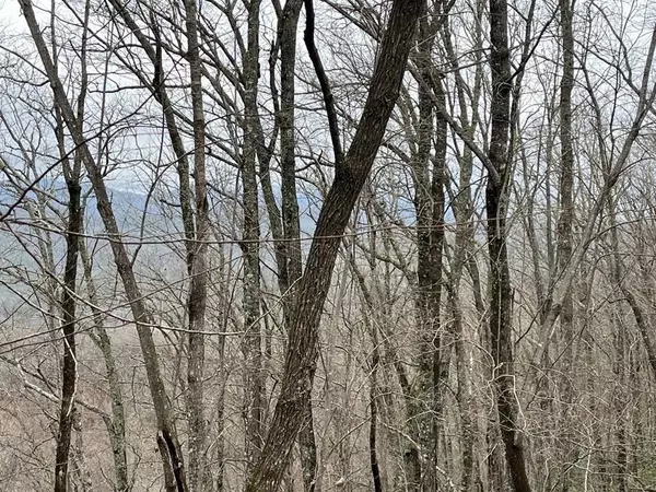 19 Lots Crockett Mountain, Hayesville, NC 28904