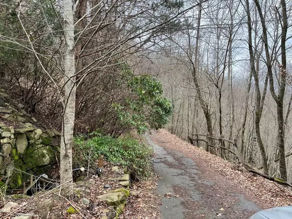 19 Lots Crockett Mountain, Hayesville, NC 28904