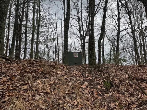 19 Lots Crockett Mountain, Hayesville, NC 28904