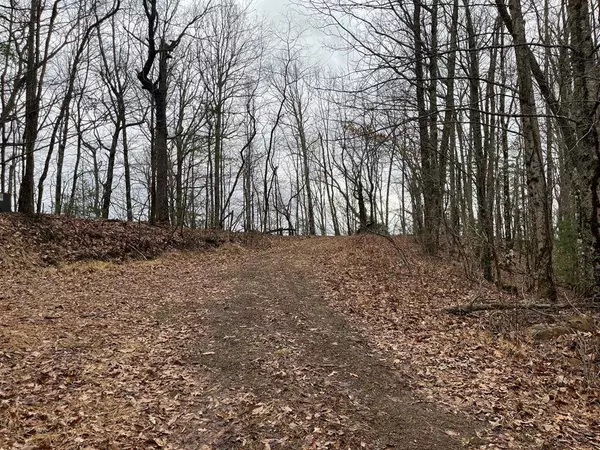 19 Lots Crockett Mountain, Hayesville, NC 28904